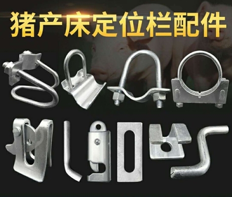 18-8등급 돼지 농장 스테인리스 스틸 돼지 펜 가구