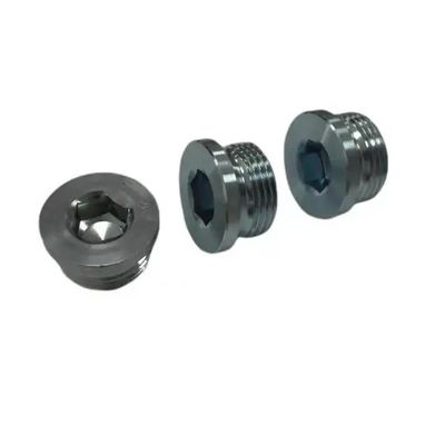 10 합금 재료 산업 등급 DIN910 스테인리스 스틸 헥스 헤드 스크루 파이프 플러그 귀하의 요구 사항